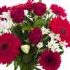 Roses & Gerberas Romance Bouquet from Andrea's Florist & Gifts, Christchurch