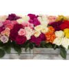 Roses of Every Colour from K&L Nurseries, available at Andrea's Florist & Gifts, Christchurch